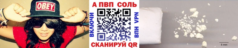 закладки  Кудрово  APVP СК 
