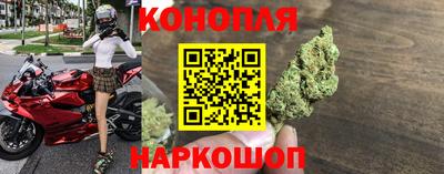 соль курить ск Кингисепп