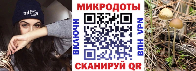blacksprut онион  что такое наркотик  Кудрово  Псилоцибиновые грибы мухоморы 
