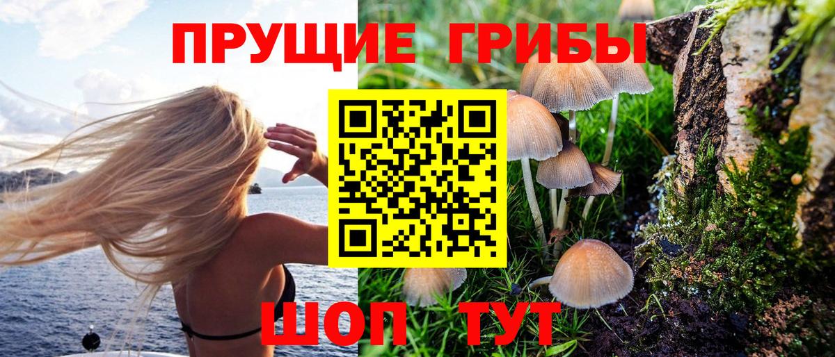 Галлюциногенные грибы Magic Shrooms Кудрово