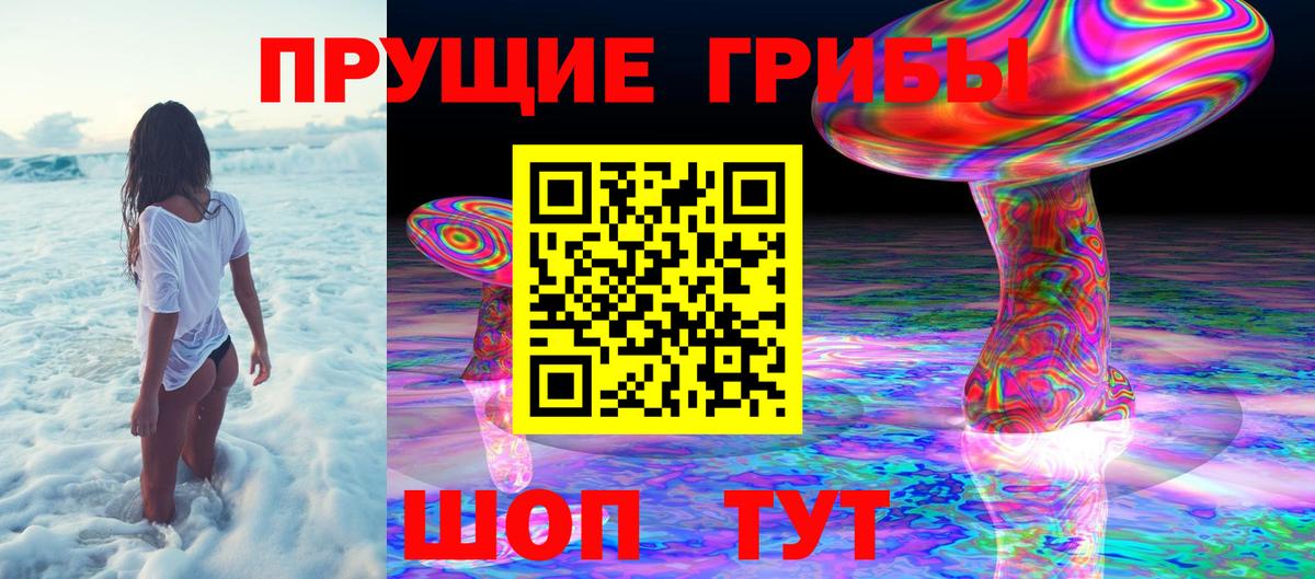 Галлюциногенные грибы Magic Shrooms  Вход с VPN  Кудрово 