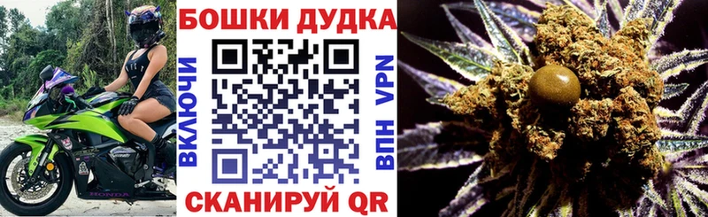 Бошки Шишки White Widow  купить наркотик  Кудрово 